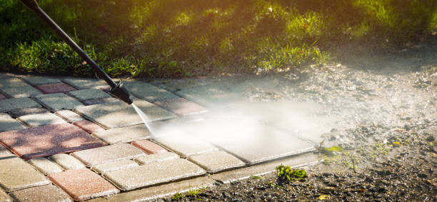 Best Solar Panel Cleaning  in Loudoun Lley Estates, VA